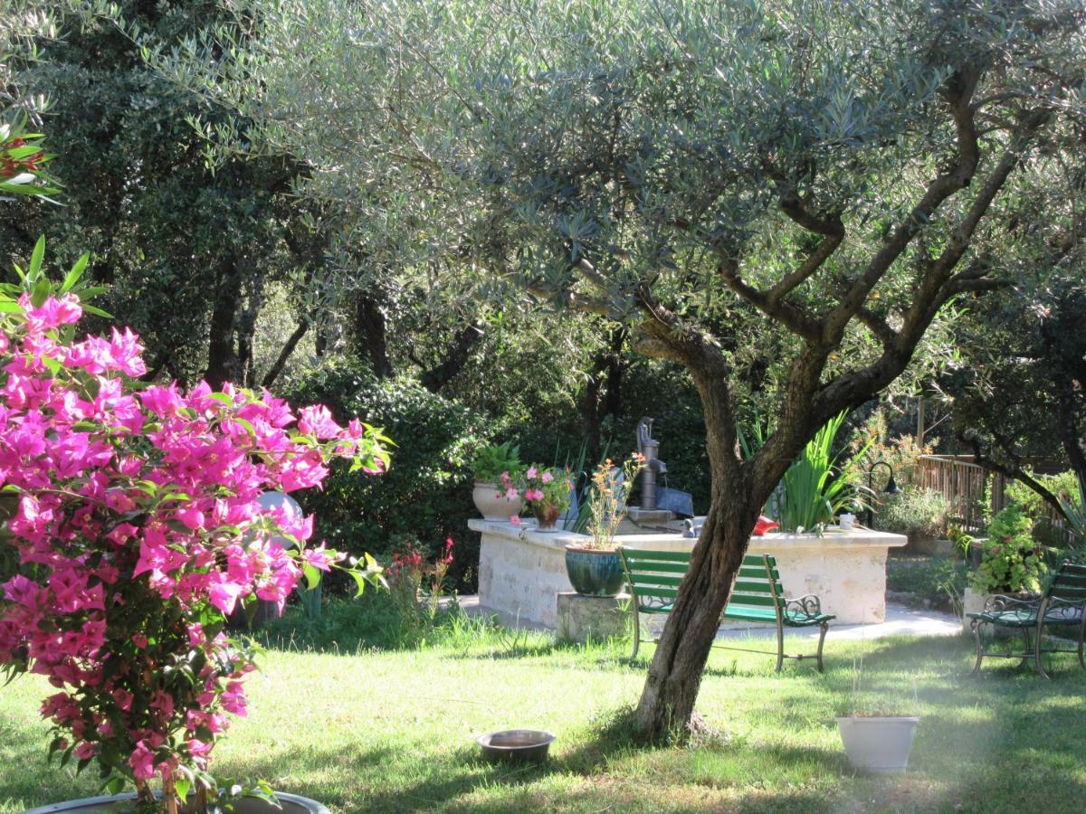 Domaine Du Bois Gite Bleuette Galargues 외부 사진